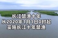 长江为什么10年禁渔（长江十年禁渔已经完了吗）