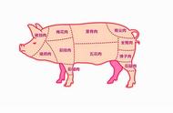 买猪肉的正确方法图解（买猪肉需要注意什么）
