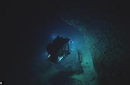 海底900米有什么（海底30000米下的生物）