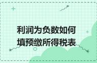 利润为负数企业所得税怎么填写（营业利润为负数所得税如何缴纳）