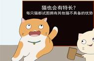 猫的特长和本领（猫的本领以及神奇之处）