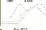 怎么在月经期间暴瘦（来例假怎么快速暴瘦）