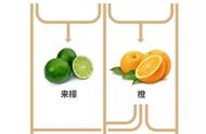 芦柑和橙子图片（芦柑和橙子哪个有营养）