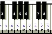 钢琴伴奏基本步骤（钢琴基础伴奏基本知识）