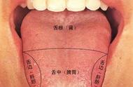 右嘴角对应哪个器官图（嘴角两边到腮帮子对应着哪个器官）