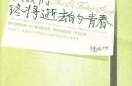 致我们终将逝去的青春深度解析（致我们终将逝去的青春深度解说）