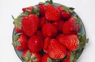 丹东草莓有几个品种（丹东九九草莓最好的品种）