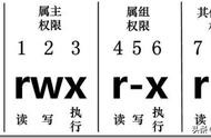 四种最常用文件类型（文件类型有哪七种）