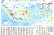 印度尼西亚的自然资源（印度尼西亚的热带雨林是原始的吗）