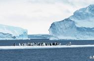 南极北极为什么要结冰（南极冰为何比北极多）