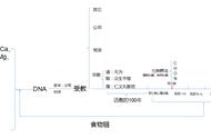 人死前会出现轻微的尸腐现象（老人味越重离死越近是真的吗）