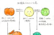 芦柑橙子橘子有什么区别（橙子和芦柑哪种水果更好）