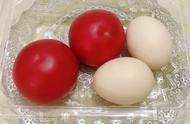 鸡蛋为啥可以和西红柿在一起（为什么鸡蛋不能和西红柿同食）