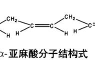 亚麻籽对男性的功效（男人每天吃一勺亚麻籽的好处）