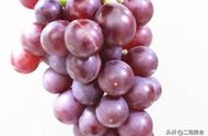 葡萄的长期储存方法（长期晚上吃葡萄的好处）