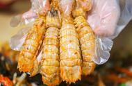 皮皮虾和普通虾哪个好吃（皮皮虾好吃还是普通的虾好吃）