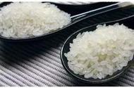 稀饭的水和米的比例（电饭锅煮稀饭水米比例）
