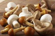 长期吃蘑菇的好处（吃蘑菇有哪些好处和不好处）
