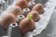 为什么煮蛋器鸡蛋要开孔（蒸蛋器蒸蛋为什么要打孔）
