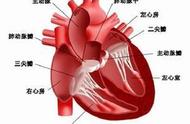 阵发性室上性心动过速危险吗（阵发性室上性心动过速严不严重）