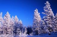 林海雪原小说免费全文阅读（林海雪原有声小说全集免费听）