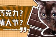 巧克力制作猫咪（猫咪做拉丝巧克力）