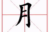 月字旁的字（月字旁结构的字大全）