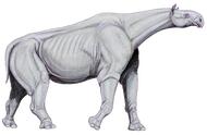 世界上最大的非哺乳动物（从古至今世界上最大的哺乳动物）
