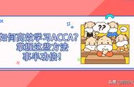 学acca最好的方法