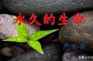 永久的生命读后感三百字（永久的生命读后感悟100字）