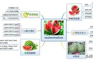 西瓜英语怎么读watermelon（西瓜英语怎么读watermelon怎么记）