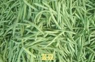 干豆角是豇豆还是芸豆（干豆角是豆制品吗）