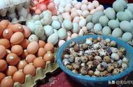 带壳鸡蛋几分钟能煮熟放多少水（带壳的熟鸡蛋放几天再煮熟）