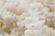 大米和小米的营养哪个好一些（大米与小米哪种营养高）