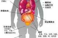 如何安全正确的减肥（如何科学正确的减肥）