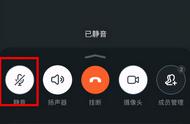 钉钉视频能把自己静音吗（钉钉视频怎么样才能静音）
