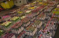 世界上最大的鲜花市场在哪个国家（全世界第二大鲜花交易市场）