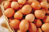 煮熟的鸡蛋怎么辨别人造蛋（网上流传人造鸡蛋是真的吗）