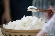 粳米和长粒香米哪个更好（圆粒粳米与长粒香米有什么差别）