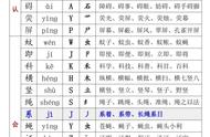 仿生学的资料四年级（四年级仿生学例子和原理）