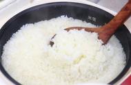 米饭和馒头哪个更容易胖（米饭和馒头哪个更容易发胖测评）