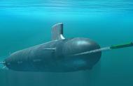 潜水艇是根据什么动物发明的（潜水艇是靠什么水生动物发明）