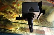 潜水泵安装视频教程全集（潜水泵怎样安装全自动）
