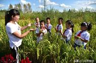 十大紧缺教师专业（未来5年紧缺教师专业）