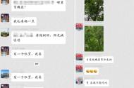 孕妇吃槐花的禁忌（槐花孕妇能不能吃的）