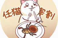 猫吃蟑螂正常吗（猫咪吃蟑螂正常吗）