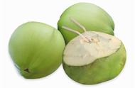 海南椰子品种（海南椰子品种香水椰子）