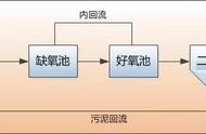 不同生物无氧呼吸类型不同原因（无氧呼吸的生物是怎么生存的）