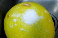柚子皮上的黑斑是什么导致的（柚子皮有黑色斑点是什么病）