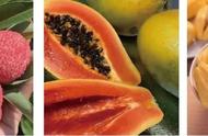 海南菠萝蜜成熟季节是几月（海南菠萝蜜几月份最好吃）